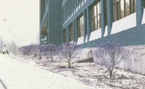 ��ѩ��Ψ������