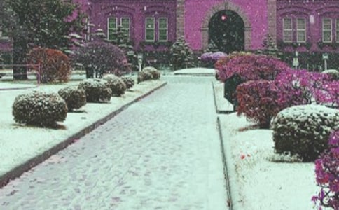 ��д����ѩ�ľ���