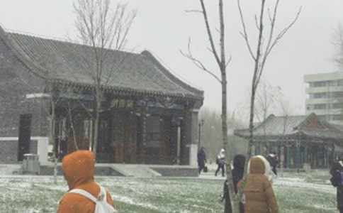 ��д��ѩ�ľ���