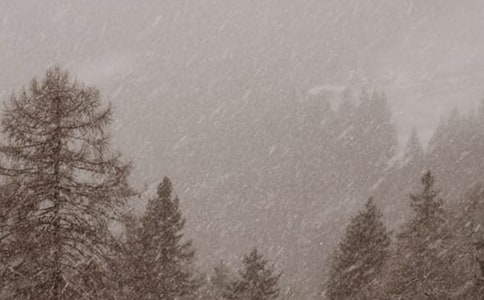 ��ѩ�޶�������� - ���ѩ����