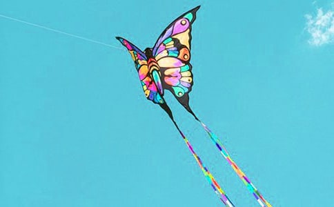 ֽ���ͷ��ݽ�ѧ��˼4ƪ