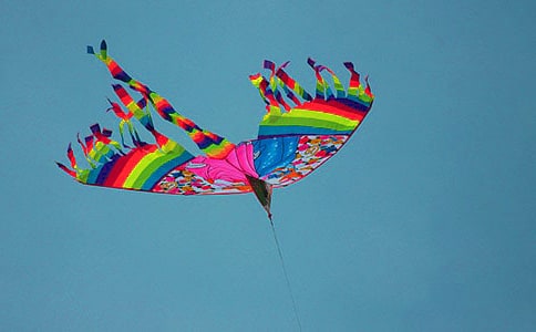 ���ߵķ������꼶����