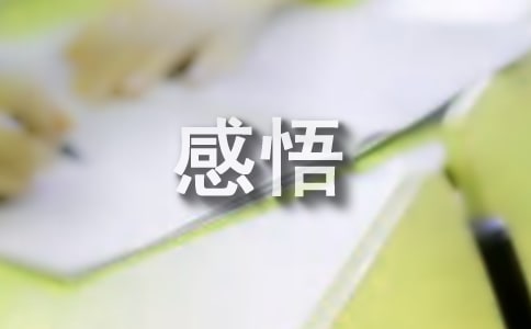 团建的心得感悟实用