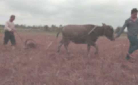 �����¸���ľ���