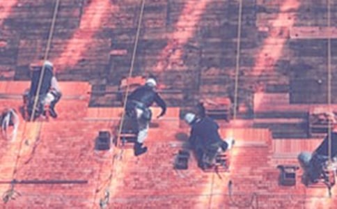 ����Э����15ƪ