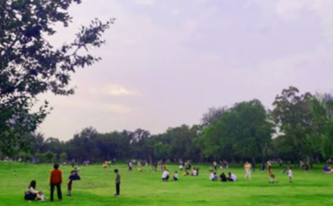 【精选】游公园小学作文4篇