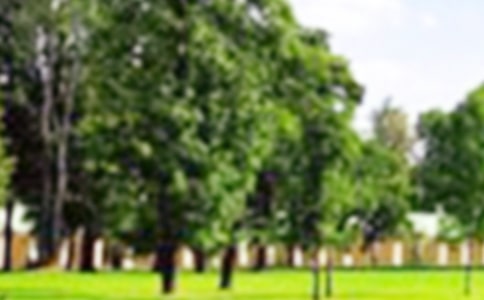 【精选】游公园小学作文三篇