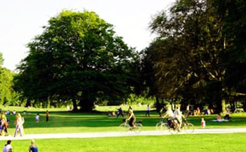 【精选】游公园小学作文五篇