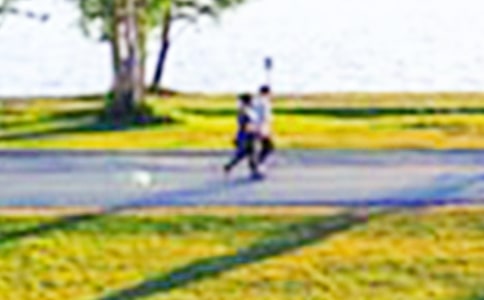 ��ѡ�ι�԰Сѧ������ƪ