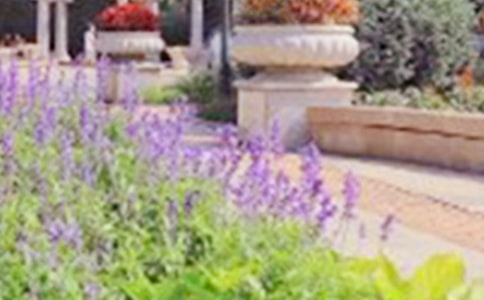 写公园的四年级作文