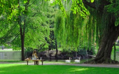 ���������ι�԰Сѧ����600����ƪ