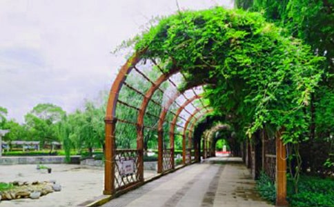 �й��ι�԰Сѧ����600��7ƪ