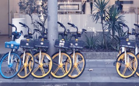 ������������������