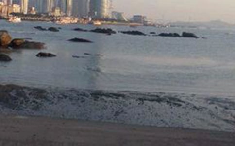 �ٵǹ�����