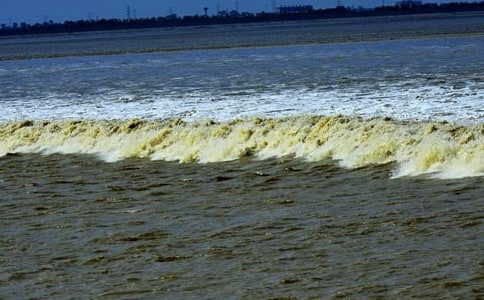 《观潮》小学语文教案