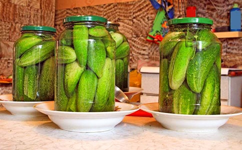 《小罐头》读后感