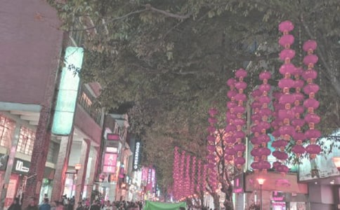 《时代广场的蟋蟀》读后感