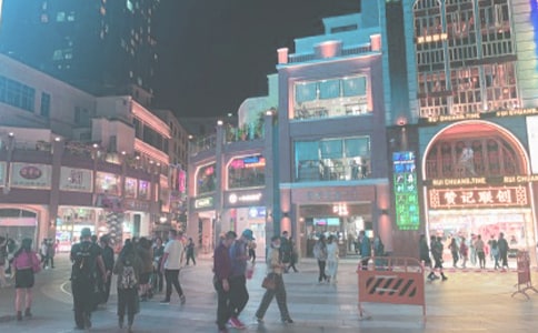 时代广场的蟋蟀读后感优秀