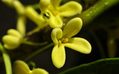 ���ڹ�Сѧ���Ľ���9ƪ