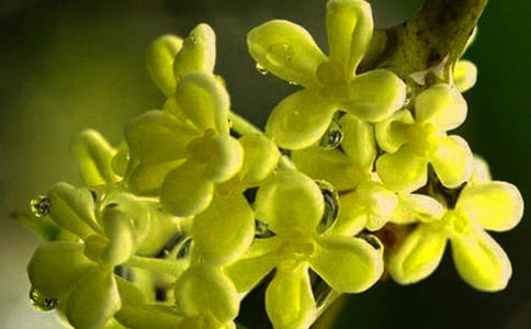 ��ʵ�á���Сѧ���Ļ��5ƪ