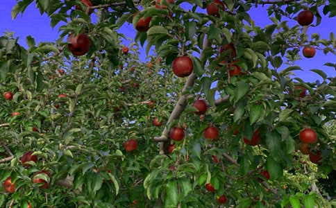 (����)��԰ת�ú�ͬ14ƪ