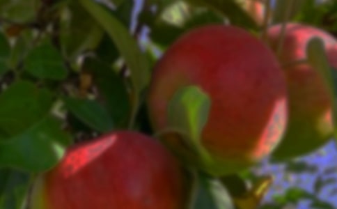 ����԰�����ˡ���ѧ��˼