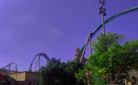 ����ɽ�����꼶���Ļ�����ƪ