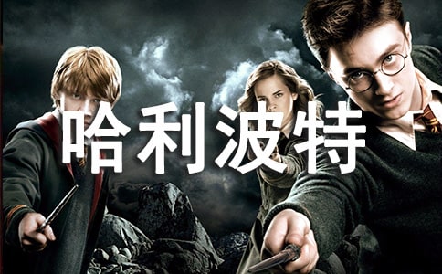 (荐)哈利波特读后感15篇