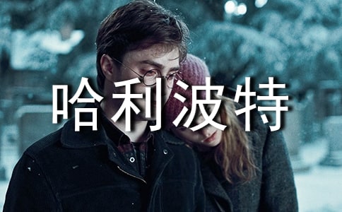 (集合)《哈利波特》读后感