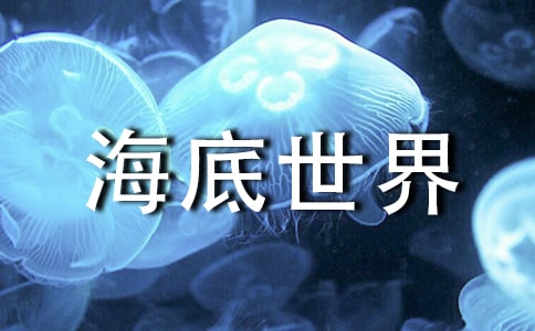 《海底世界》读后感14篇