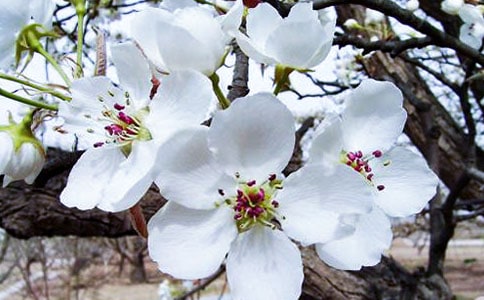 ����еĺ��ġ������