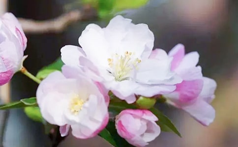 �����㺣�ġ��ۺ��