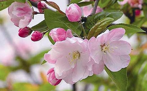 �йغ��ĵľ���