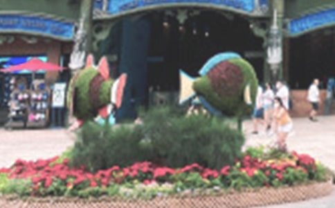 游海洋公园日记