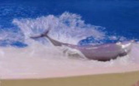 ��ɫ�ĺ��ൺ�����