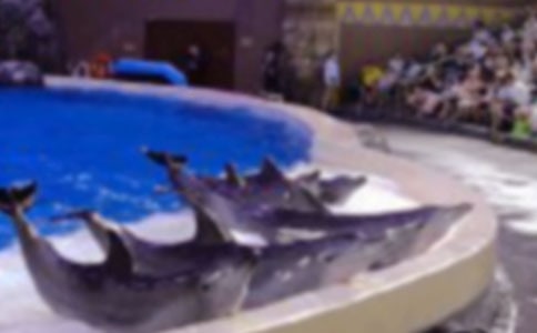 ����ɫ�ĺ��ൺ�������14ƪ�����ϡ�