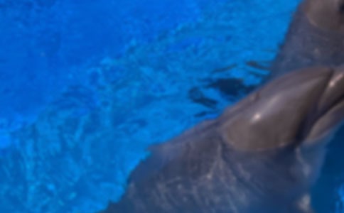 ����ɫ�ĺ��ൺ�и�