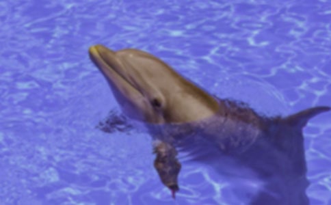 ����ɫ���ൺ�������