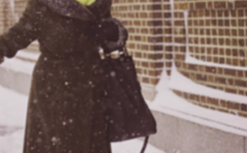 ���ţ������������������ܽ�