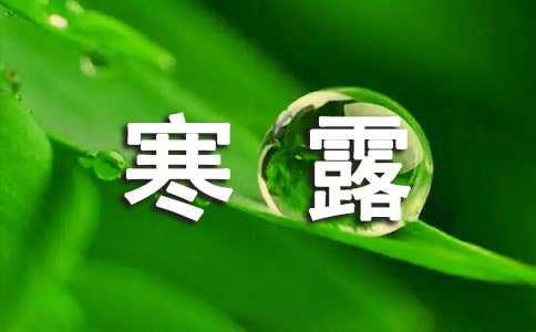 2024年寒露节气问候语26条