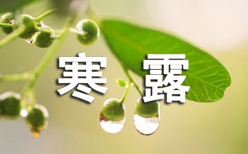 2024年寒露节气问候语28句