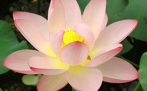 ��д�ɻ��ľ���