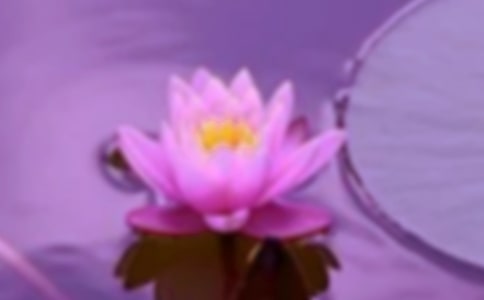 ������г���ӹ�ϵ�ĵ����