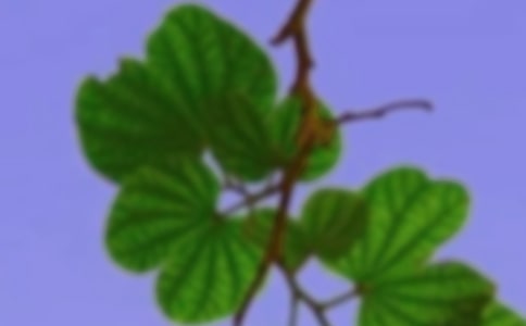 �й����꼶��г�����ĺϼ�ʮƪ