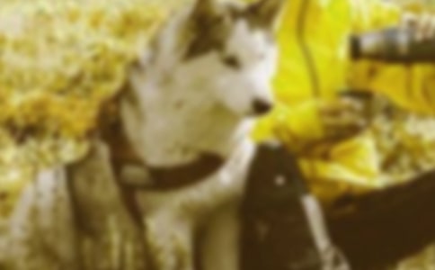 ����г������Ӱչ�߻���