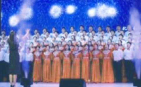 �ϳ������߻���