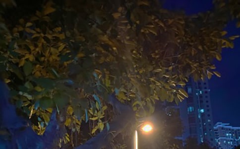 ���ݺ��º�ҹ�ľ��ӽ���39��