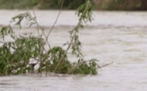 ��ˮο����