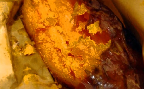 �������ռǣ���ѡ27ƪ��