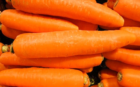 胡萝卜须读后感